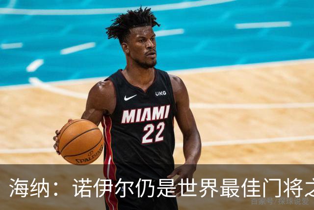 海纳：诺伊尔仍是世界最佳门将之一，失误和年龄无关