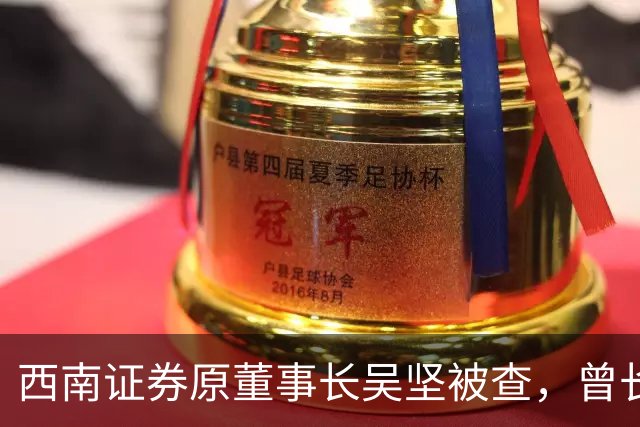 西南证券原董事长吴坚被查，曾长期执掌跨境业务