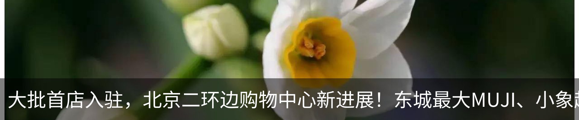 热点资讯